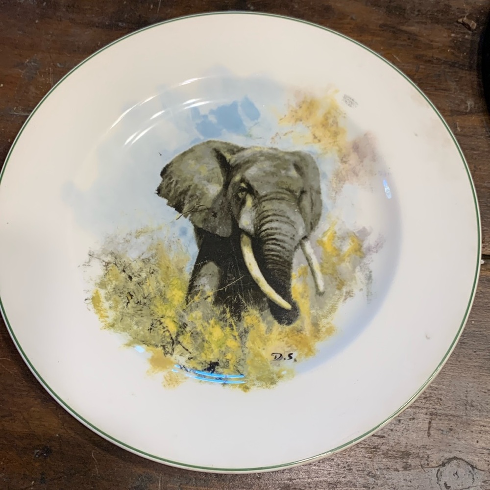 5 RARE WEDGEWOOD WILDLIFE WWF DINNER PLATES,signed David Shepherd